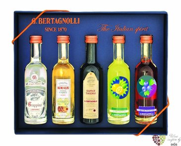 Gift set  Perle blu frutta  collection of minibottles by destileria G.Bertagnolli  5 x 0.05 l