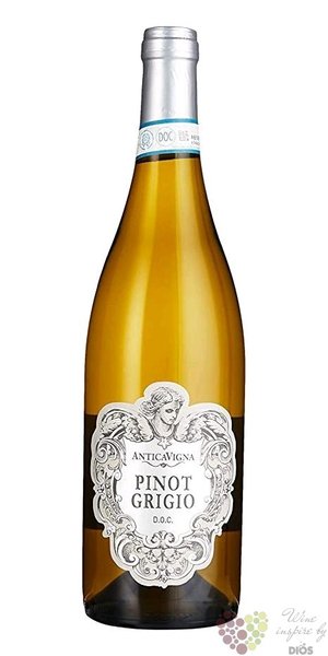 Pinot Grigio Delle Venezie  Antica vigna  Doc 2020 tenuta SalvaTerra  0.75 l