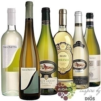 Kolekce vybranch blch vn jedn odrdy  Pinot Grigio       6 x 0.75 l