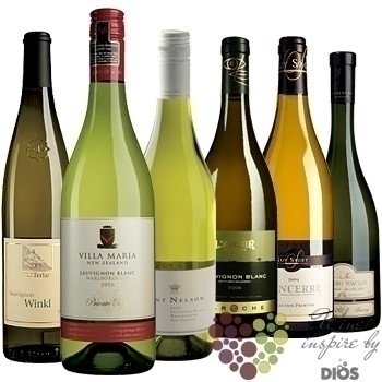 Kolekce vybranch blch vn jedn odrdy  Sauvignon blanc      6 x 0.75 l