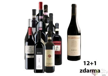 Barolo 12+1 lahev za jedinou korunu