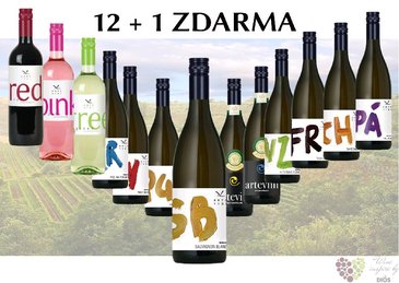 Vno z vinastv Arte Vini 12+1 lahev za jedinou korunu